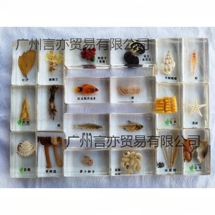 ͸����֬���� ���x ֲ�� �N�Ә˱� �~ �׃��J֪��� С�W����̌W