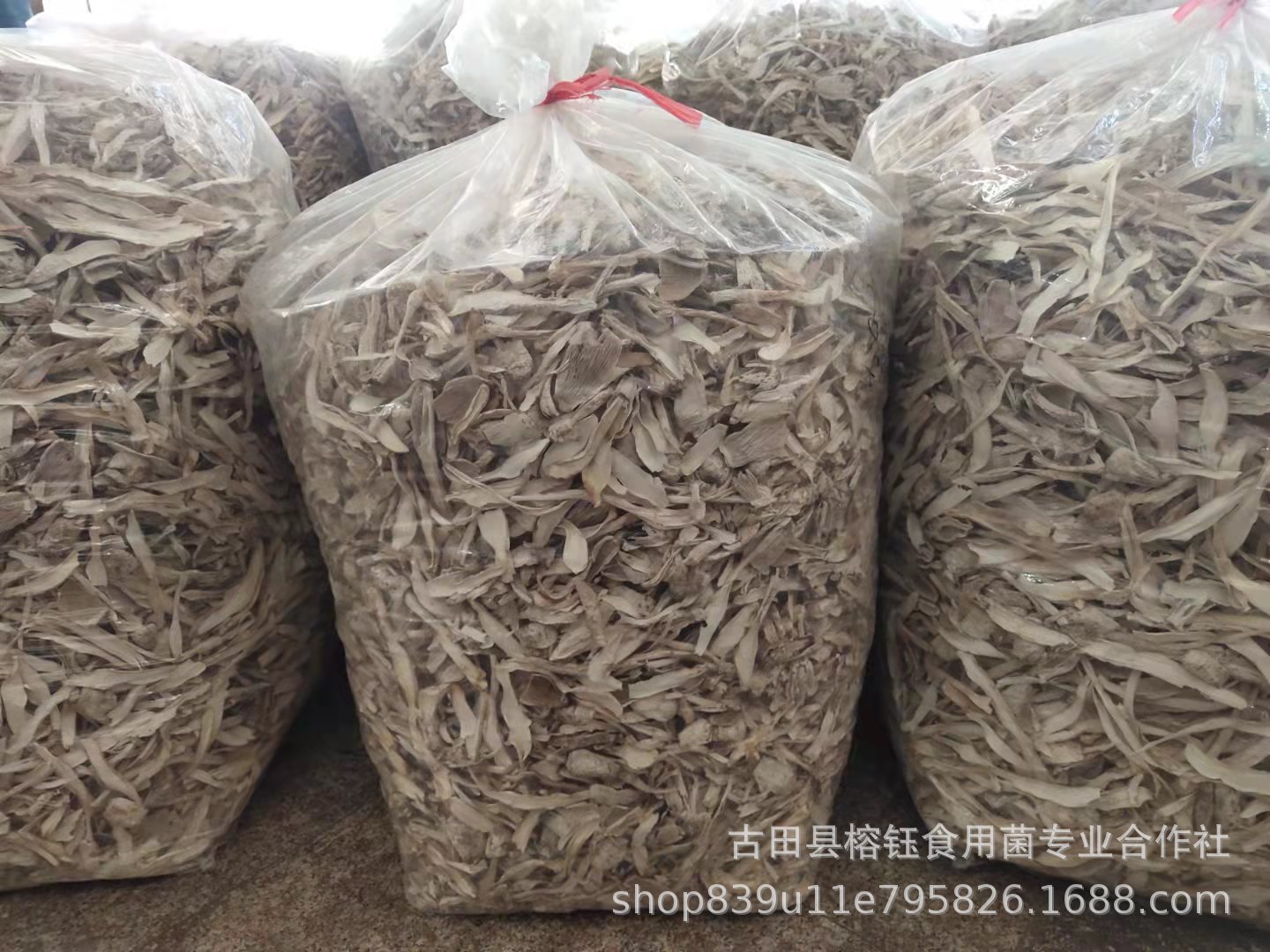 微信图片_20211014142737