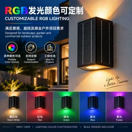 太阳能灯;道路照明灯;庭院灯