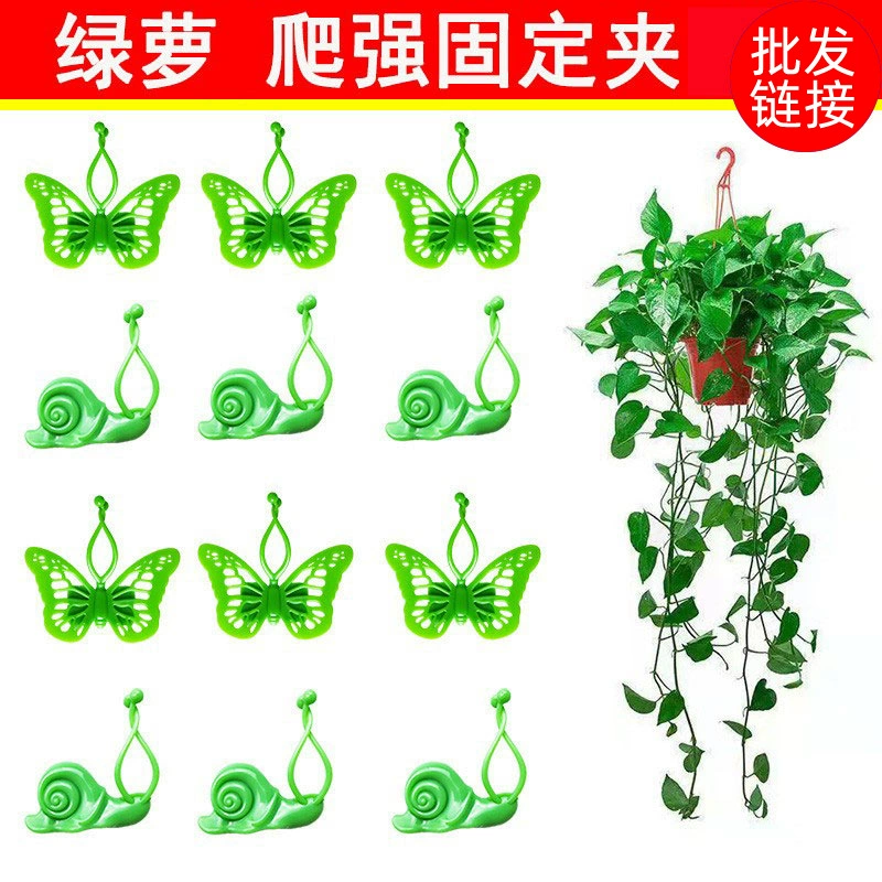 Зеленая Роза закрепитель растение Улитка скалолазание стена артефакт без гвоздей приклеивающаяся стена самоклеящийся крючок стена лоза бесследное скалолазание