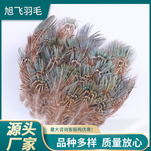服装辅料羽毛布边山鸡毛绿眉绿片布条diy手工羽毛 羽毛裙边658236