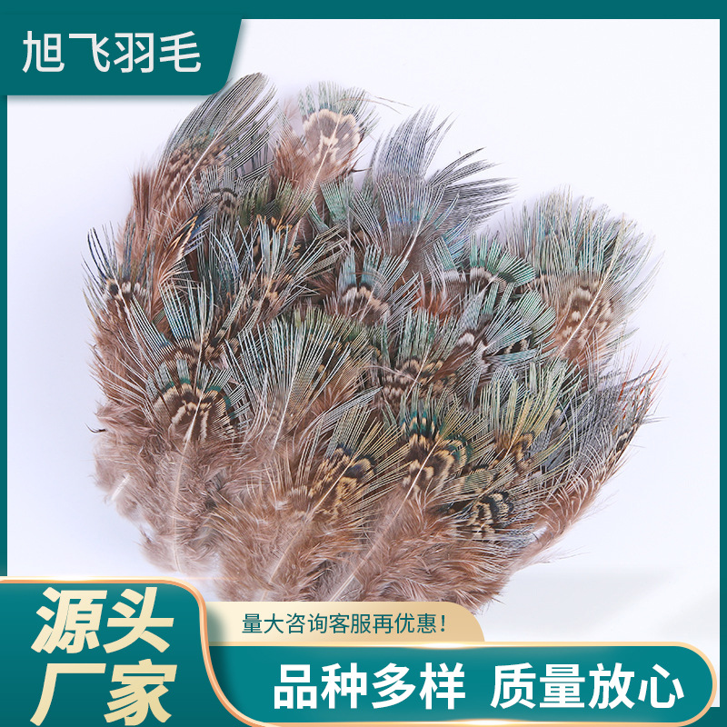 服装辅料羽毛布边山鸡毛绿眉绿片布条diy手工羽毛 羽毛裙边658236