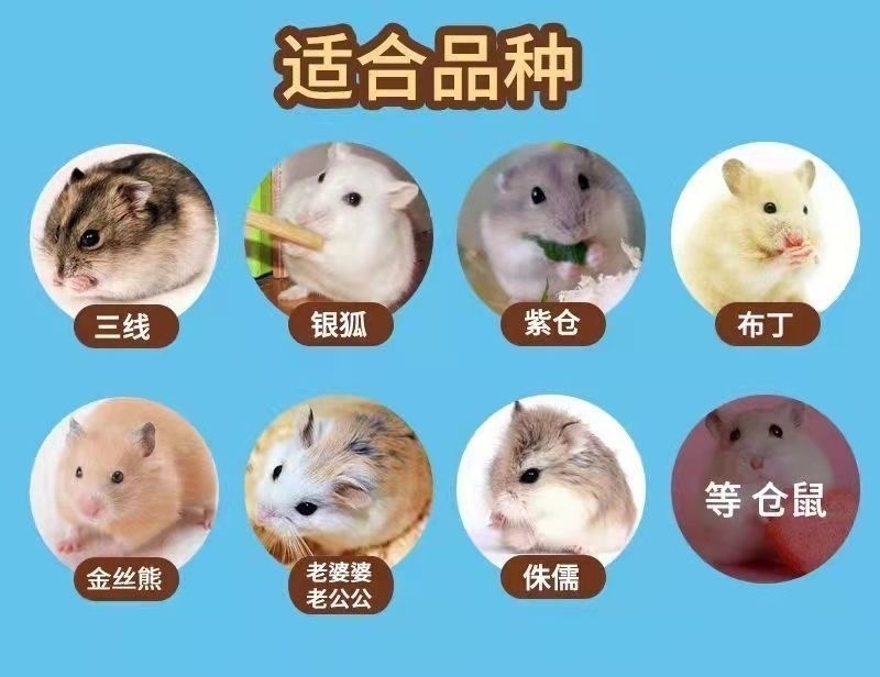 ba9883aa-d2d1-48e3-b270-3a24a1f53925.jpe