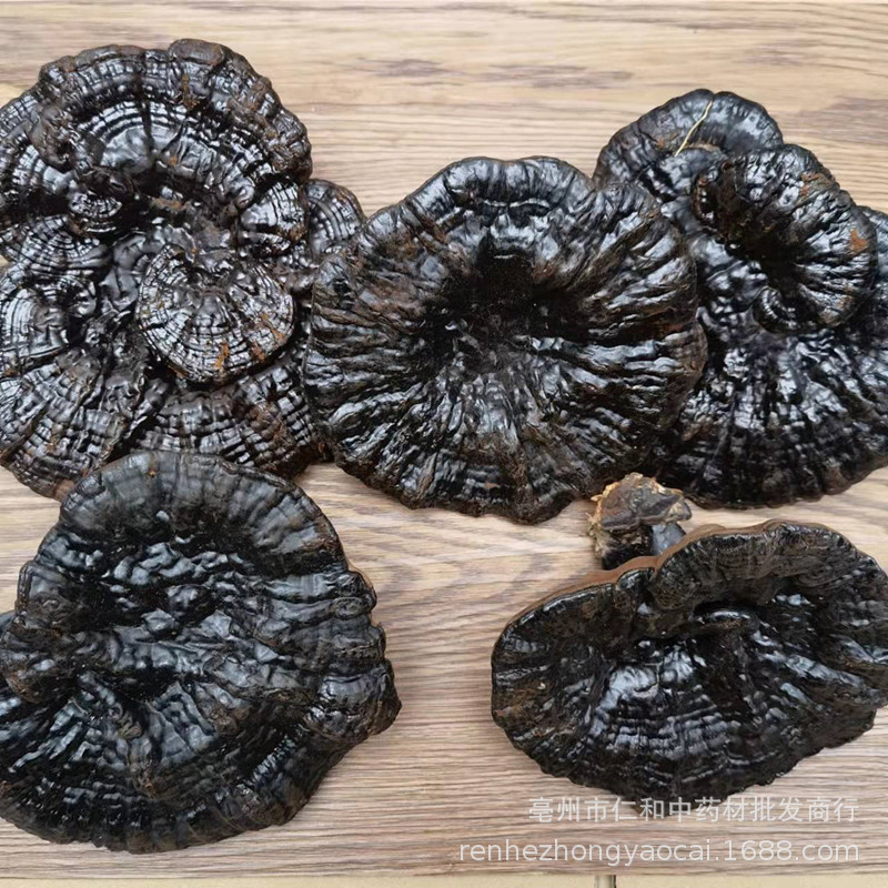 Changbai Mountain Black Reishi Lingzhi Whole Dried Mushroom Traditional Herbal Decoction specifications