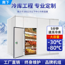 商用冰柜冷冻柜海鲜保鲜速冻小型冷库制冷全套低温速冻库冰库厂家