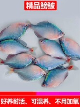 ���B��ˮ�^�p���Q�~�߲�ʯ��Ƥ������ˮ�~���wС���~��ԭ��Ⱥ���~