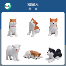 ����Tarlin�ձ�EPOCH��������Ȯ��ż��Ȯ����΢�sС��ģ��Ť����