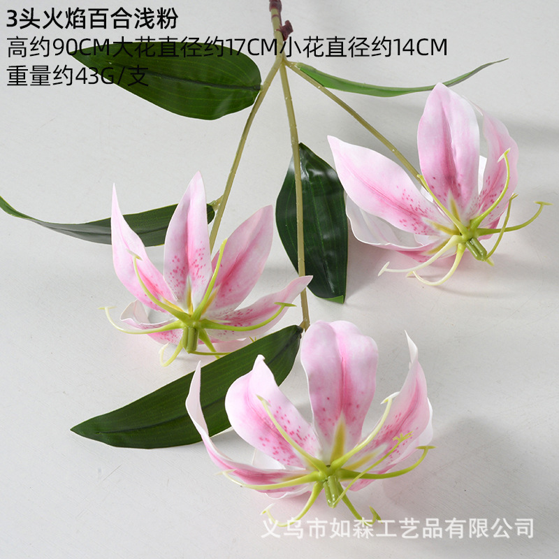 Polvo claro de lirio de llama