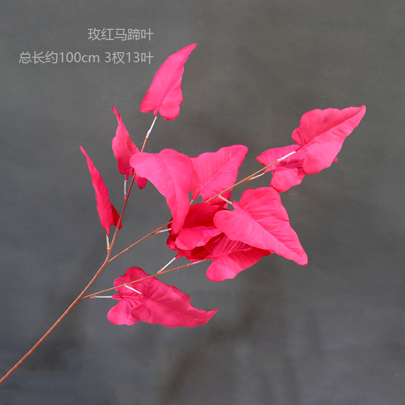 Rosa roja hoja de herradura