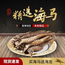 海马干货一对泡酒煲汤料公对母材滋补身包邮