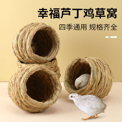 rutin Henhouse Raise Dedicated parrot Winter keep warm Lay eggs Bird House Landscaping Supplies Amazon