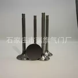 气门及部件