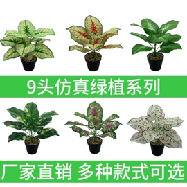 仿真绿植;仿真花;仿真盆栽