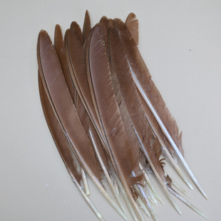 ��Ȼ��ȸ��ë���� ԭ�����b�^��OӋDIYӡ�ڰ�Ұ�˹�����ë����