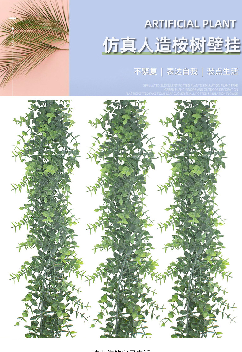 尖尤加利壁挂_01