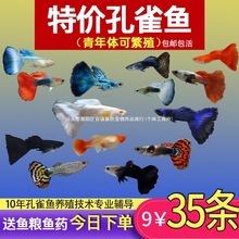 ��ȸ�~���N�^�p�~С�͵�ˮ���B�Ꭷ�~���w�������R���~С�~�S��