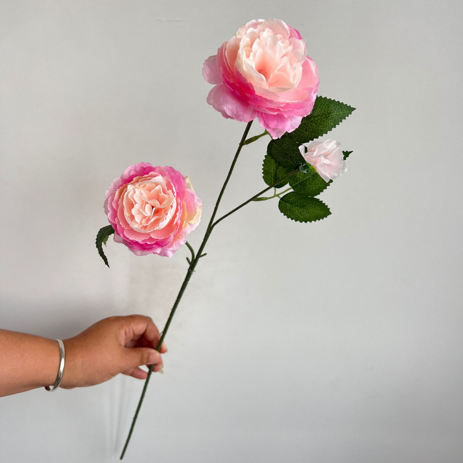 분홍색 가장자리