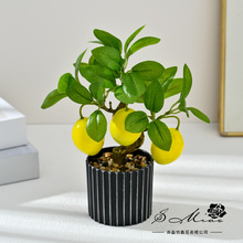 ����ˮ�����Ԅ����҃��b�С�[���Gֲ�������Է���ٻ������辰