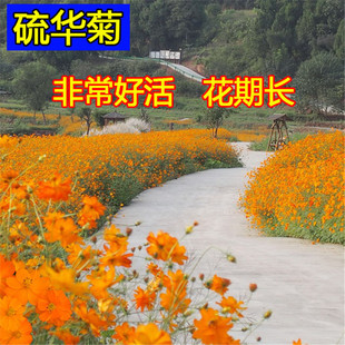 ���A�շN�ӻ����ļ����N�_���S��˹�ջ��N��ͥԺ����ֲ��G���N��