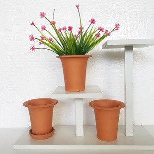 Fenglan Creative Flower Pot Wholesale Red Pottery Succulent Flower Pot Colorfulful Succulent Low Pot Flower Pot with Multiple Colors