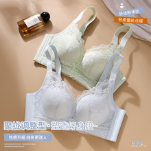 2026�ٽz����ŮС�ؾ۔n�ո���Ůʿ�ٽz���з��´��{����������