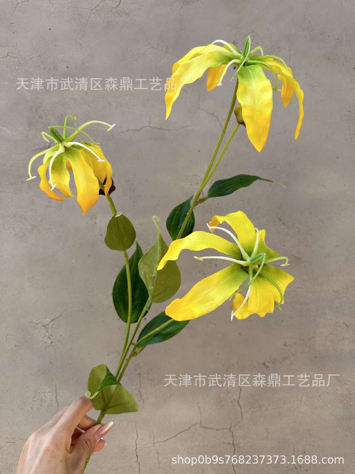 0480e50c3e29ab38c3d004028430ba