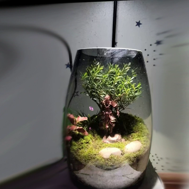 Креативный рабочий стол микро-ландшафтный вазу с большим животом