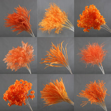 ��c��ɫϵ������ɫ��Y�ò��üٻ��廨·�����b��Sɫ����ˇ