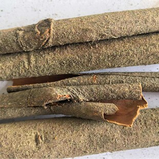 ��Ƥ���Ͳ500�ˡ�����ș�I����ƤͲ��؛������ș�����l