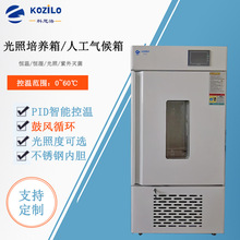 �a�ؐa��������B��������ֲ�������������B�a����