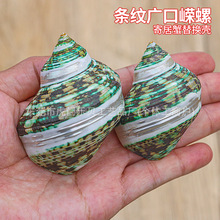 �G�ݗl�y�V�ڎV����Ȼ����ؐ���Ҿ��ղؘ˱��[���~�׼ľ�з��Q��