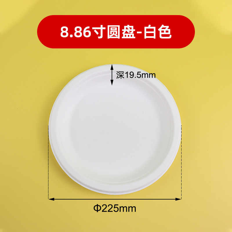 Placa de papel desechable kindergarten catering pintura degradable hogar comercial barbacoa vajilla fábrica al por mayor