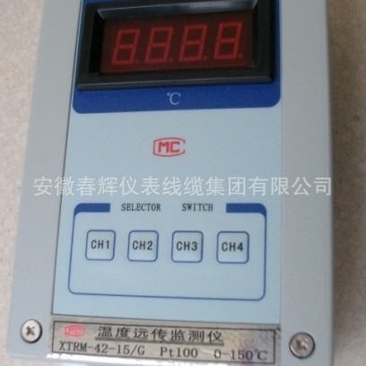 供应温度远传监测仪XTRM-4210 XTRM-6215AG