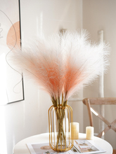 ?���W�JȔINS�p�ݲ������廨�b��쾰�ٻ�ë�q��Ȕ���͏d�[