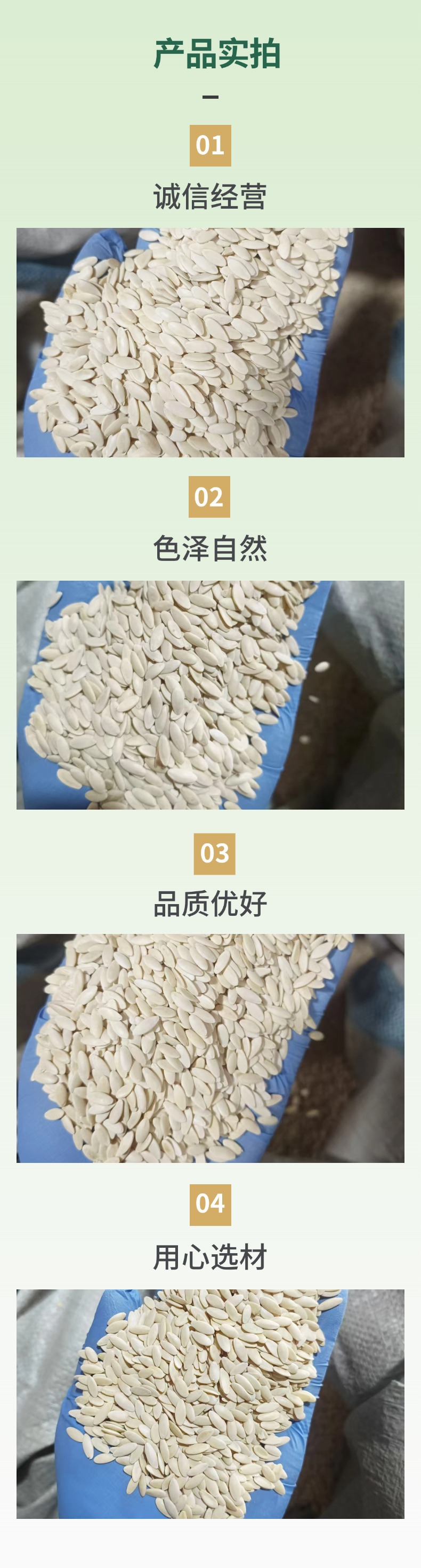 Dried Cucumber Seeds Huang Gua Zi 500g Northeast China Raw Herbal Botanical specifications
