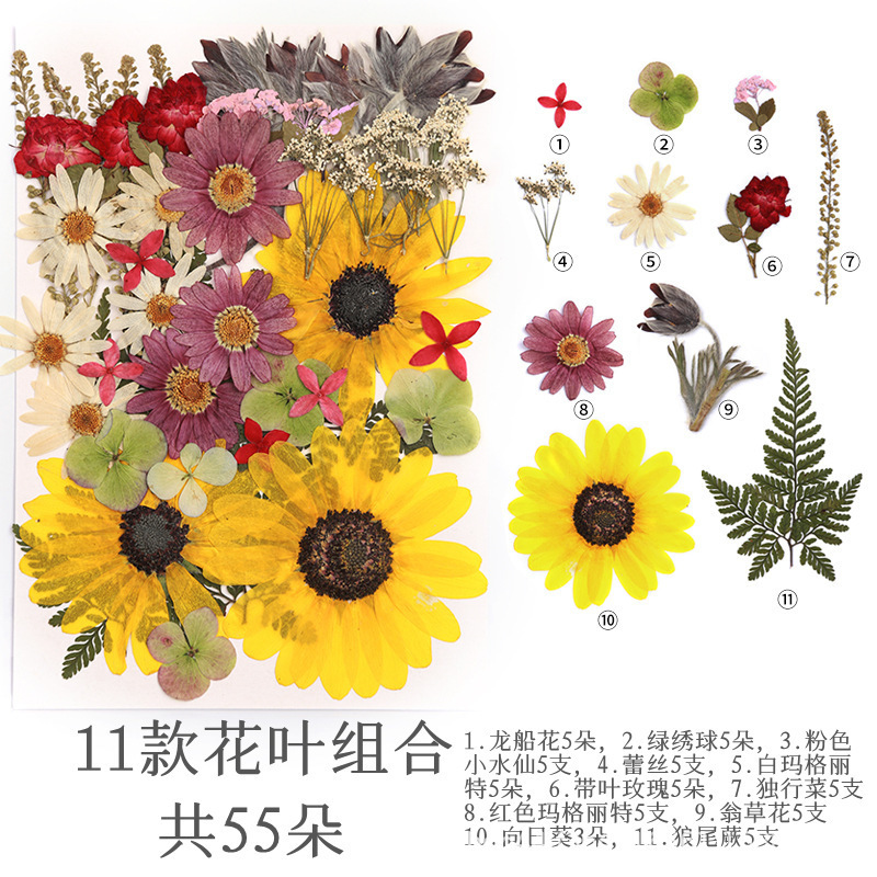 70 해바라기 정원 스타일