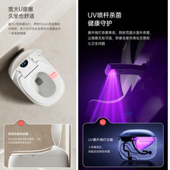 Egg-Shaped Smart Toilet, Fully Automatic Dual-Path Wide-Seat Rim with Foam and Splash-Proof Features, Gold Baisheng Bathroom Collection Q6