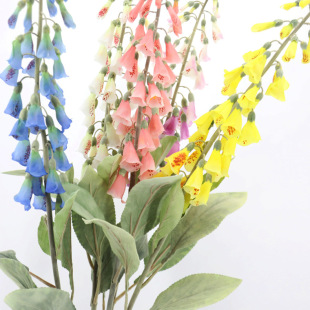 �S�����l��֧ë���S�����^�쾰�ٻ���c�廨��ĔzӰ���߻�ˇ