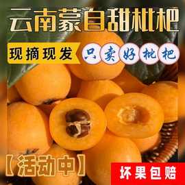 云南蒙自高山甜枇杷新鲜当季水果现摘整箱琵琶孕妇皮薄多汁包邮