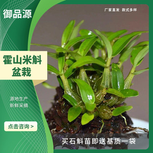 ���ڷ�Ұ��4��5���ɽ�a����ʯ�������ֱ�l����ʯ���r�l߅�N߅��