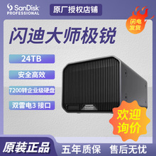 适用闪迪大师极锐24TB企业桌面移动硬盘2盘位磁盘阵列SDPHH2H024T
