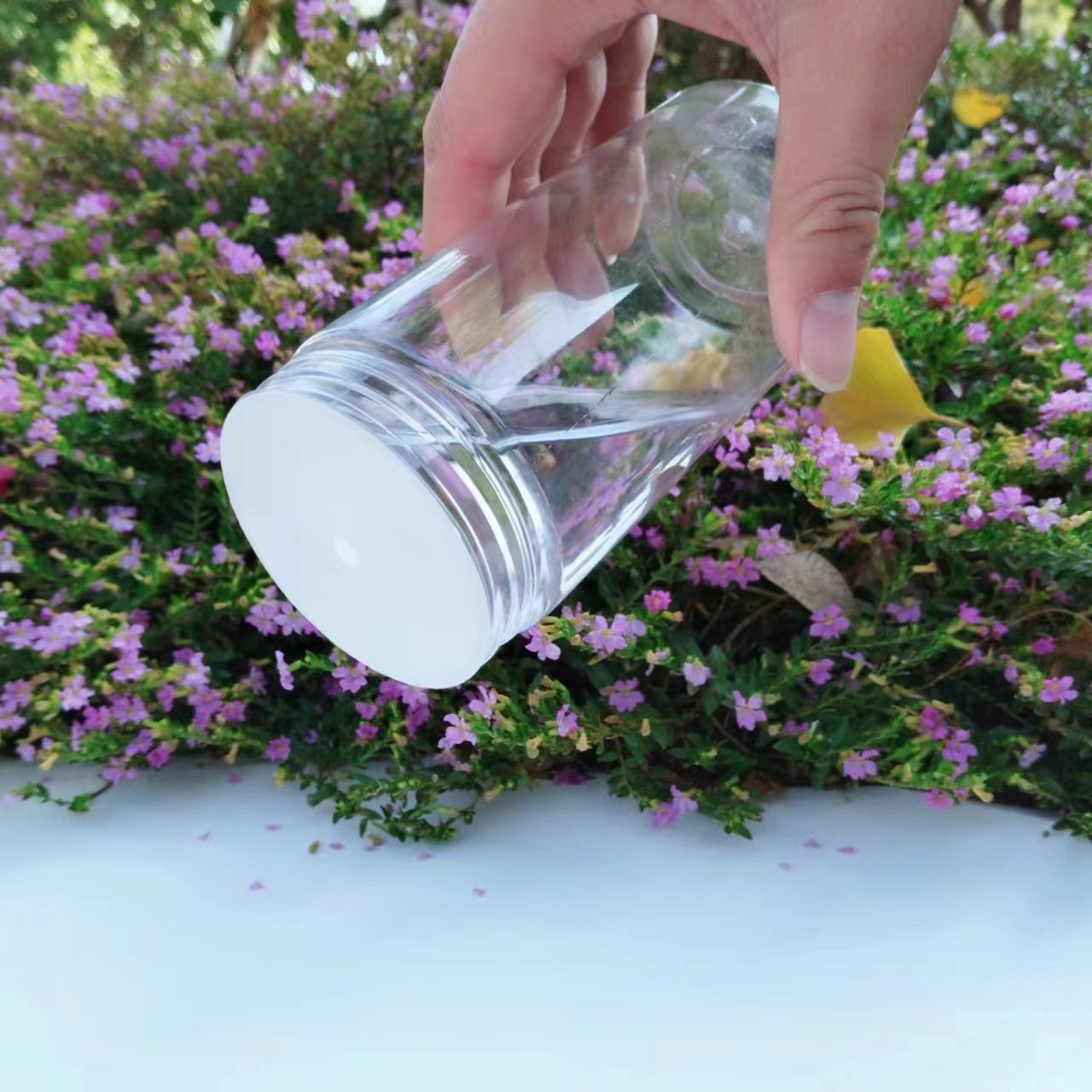 080e2fcccfb4f292f898c9b18af23c