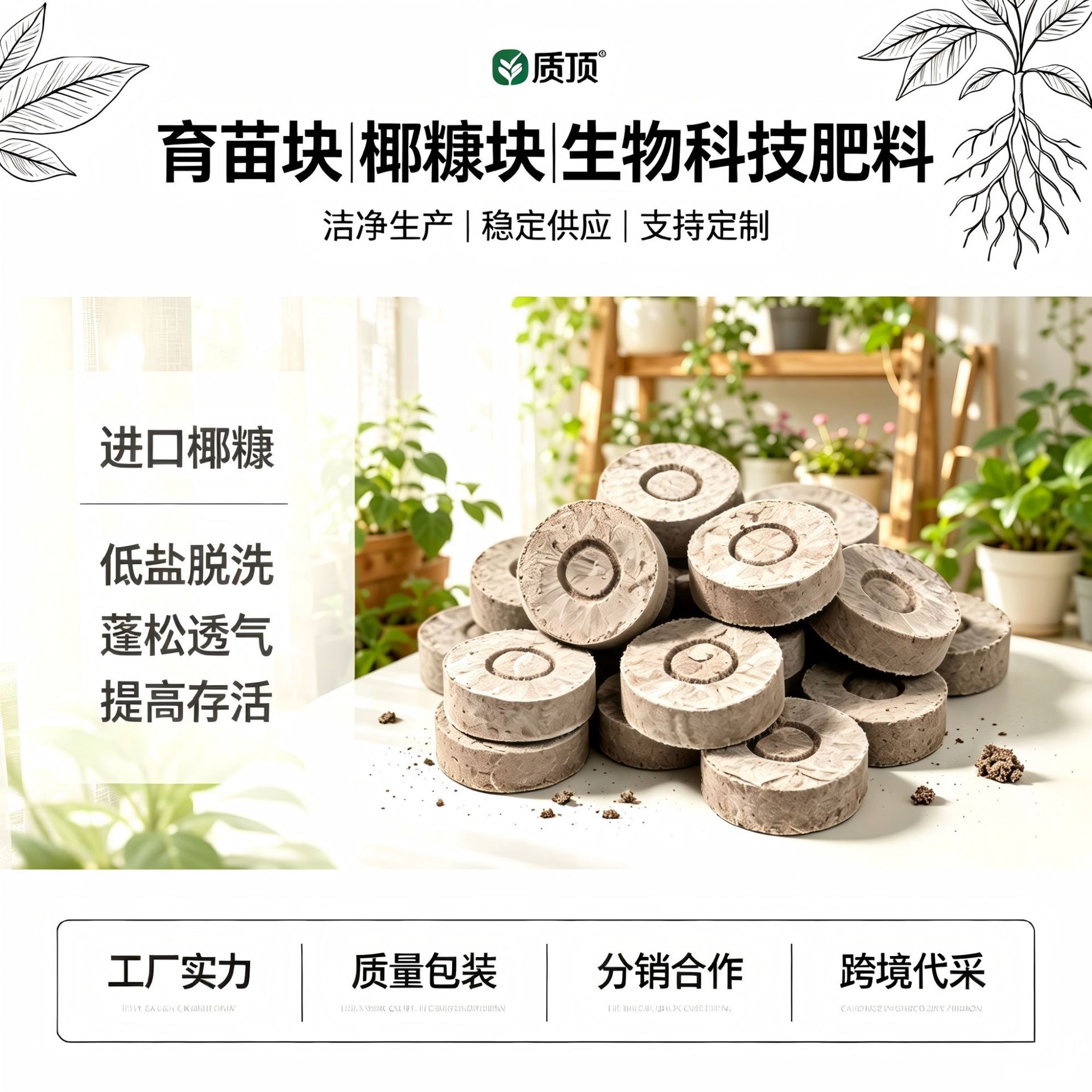 质顶园艺养花育苗种植土花草蔬菜育苗蓝莓草莓栽种天壤基质育苗块 宠物及园艺厂家批发实拍图