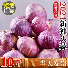 新鲜云南大蒜头干蒜5斤农家新蒜蔬菜蒜头当季2024独头蒜批发紫皮