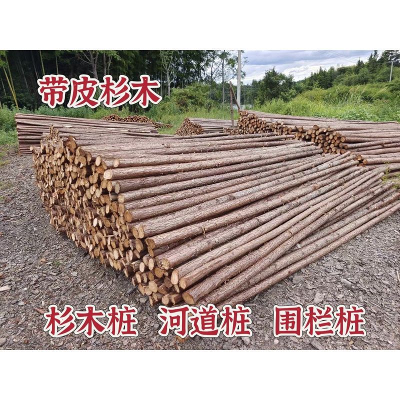 河道打桩木水利工程护岸固基专用材质坚硬耐水泡防腐防蛀本地厂家