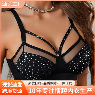 �W���羳�W��U�վW���Ը����������Ը��L�۔n��Ȥ����Դ�^���S