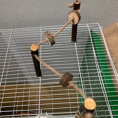 Parrot biting toy bird toy wooden stand with rope ladder