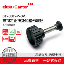 Elesa+GanterƷ oo BT-SST-p-SV iֹƉ|Ĳo