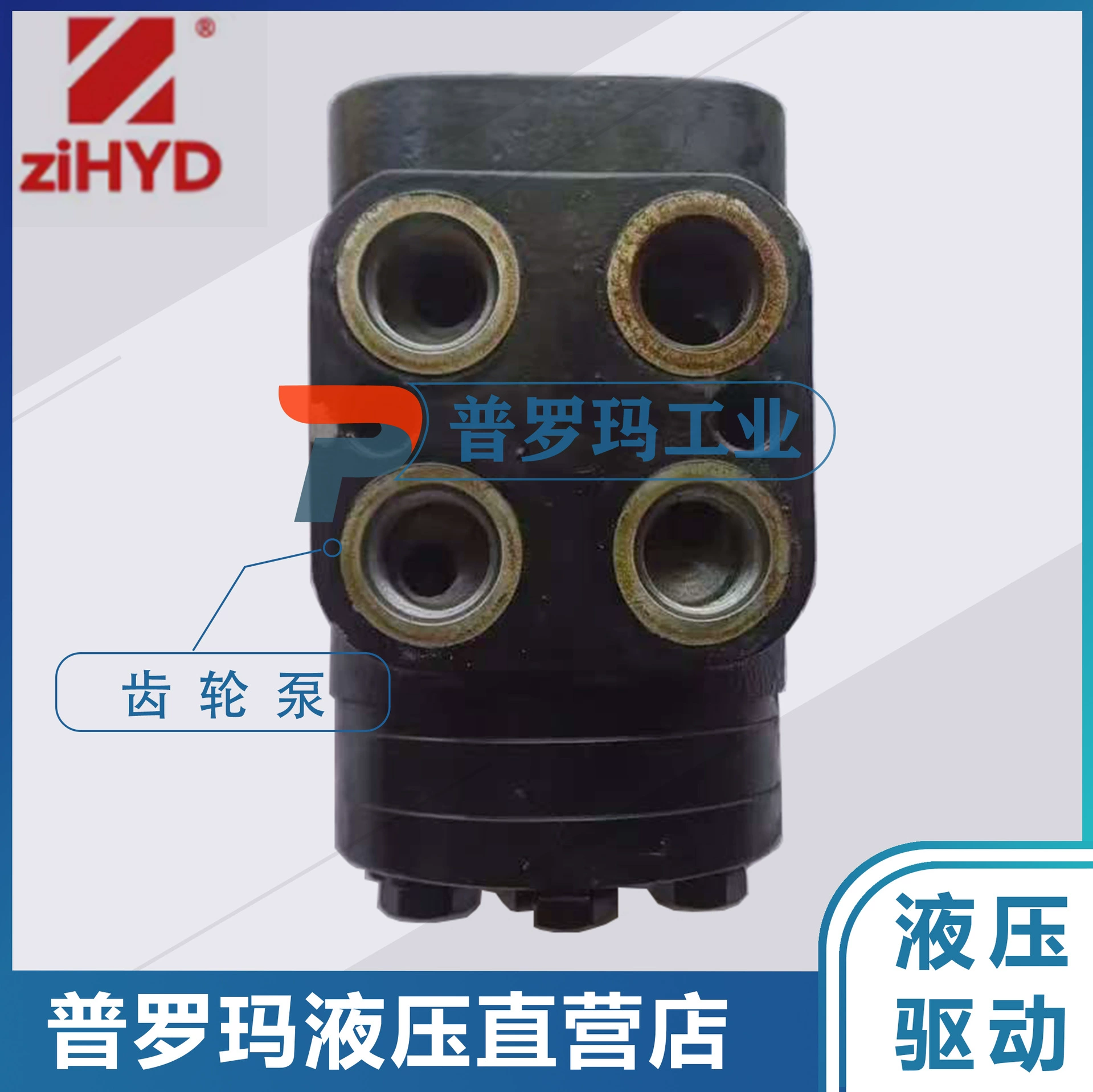 Гидравлический двигатель ZIHYD Ningbo Zhongyi BHR1-100-Y50-P/C