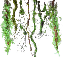仿真树藤青苔枯藤条装饰树枝干室内藤蔓假花藤壁挂橱窗创意布造景